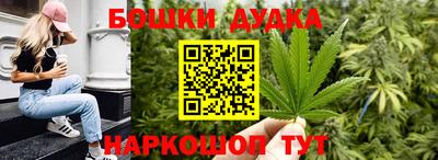 гашик Дубна