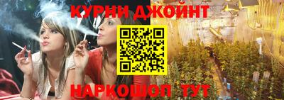 гашик Дубна