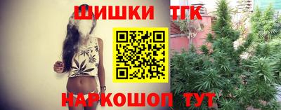 гашик Дубна