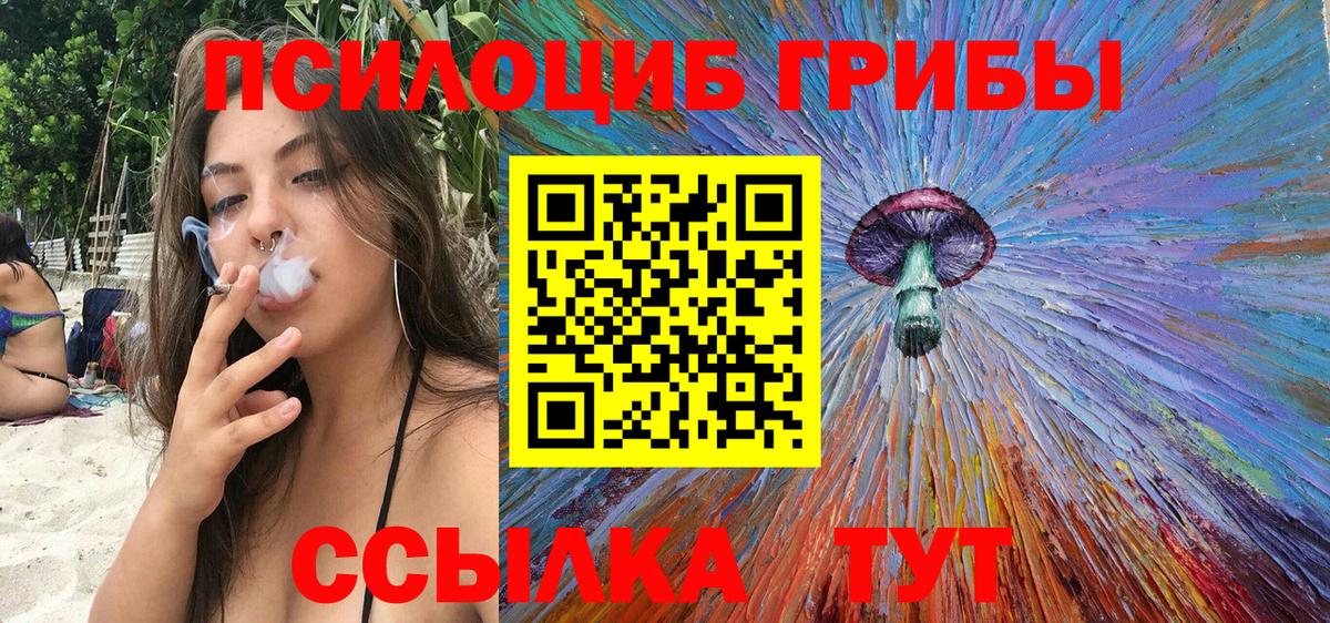 Галлюциногенные грибы Cubensis Карабулак