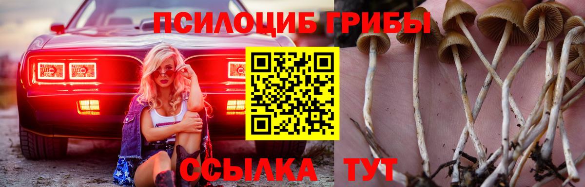 Карабулак  Галлюциногенные грибы мухоморы  сколько стоит  Вход с VPN 
